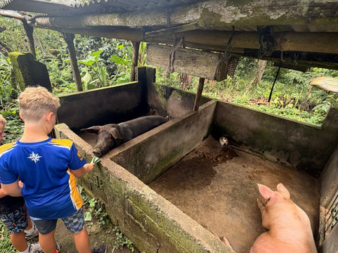 Dewa Bike Tour | Private Tours-乌布必去景点