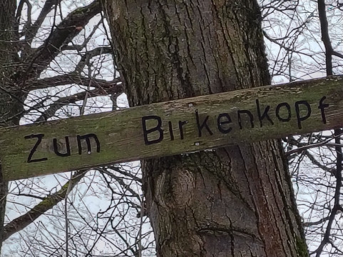 Rubble Hill-斯图加特必去景点