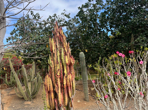 Viveiro, Botanical Garden & Zoo di Terra-圣塔玛丽亚必去景点