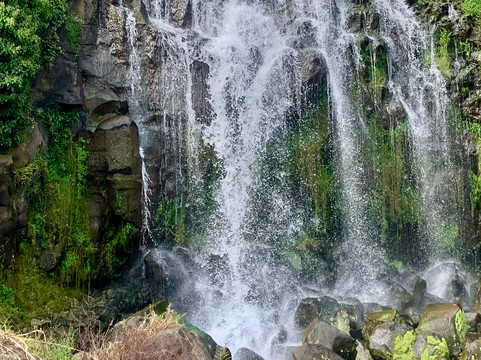 The Secret Waterfall Gardens-Patumahoe必去景点