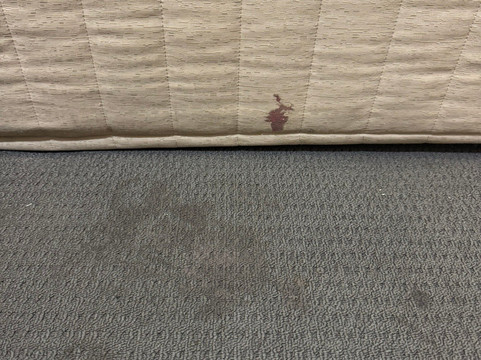 塞斯诺克汽车旅馆主图