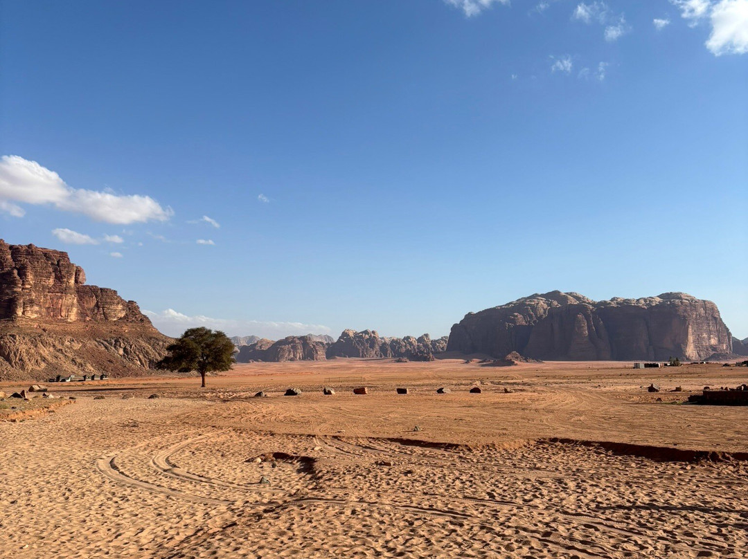 Wadi Rum Legacy Tours-Wadi Rum Village必去景点