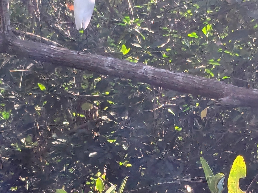 Mystic Embrace-Chacala必去景点