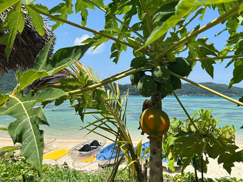 Banana Sea Club-Anse Boileau必去景点