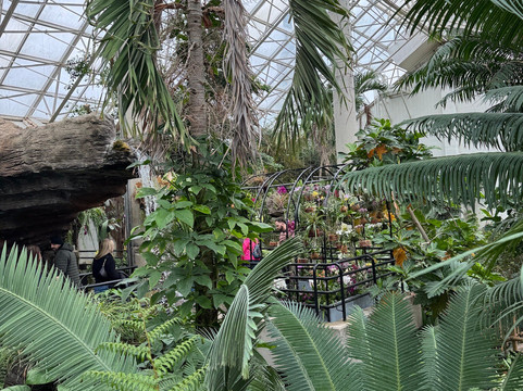 Foellinger-Freimann Botanical Conservatory-韦恩堡必去景点