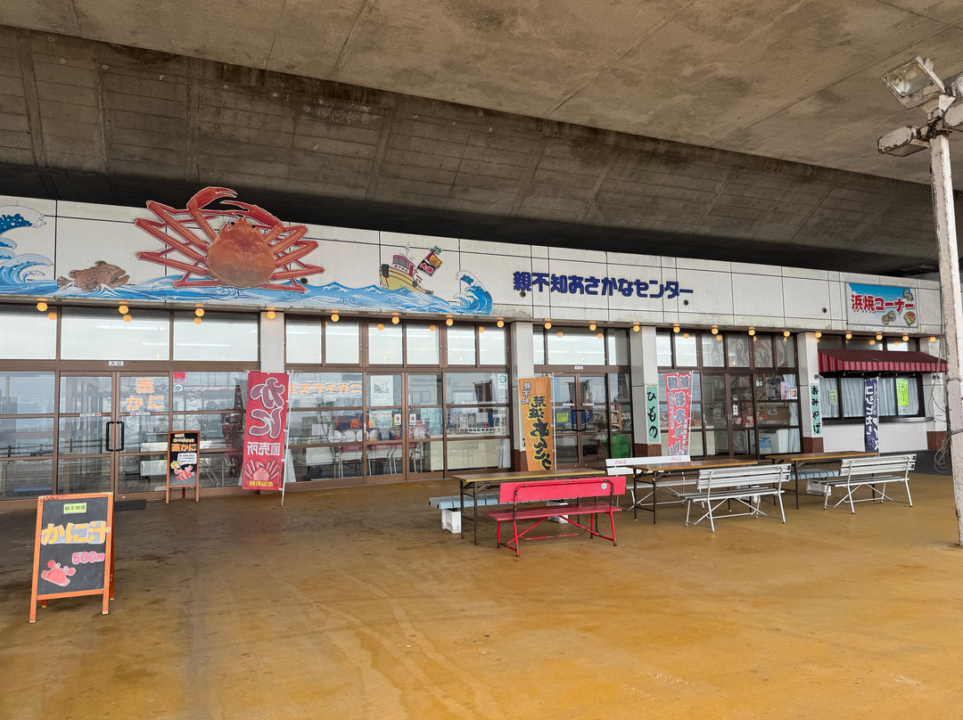 Oyashirazu Pier Park Michi-no-Eki-糸鱼川市必去景点