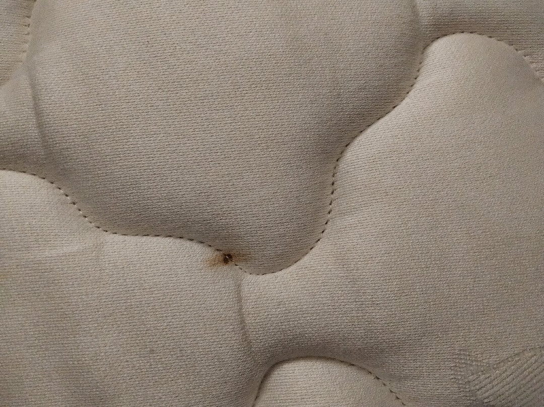 布拉德福德旅客之家酒店主图