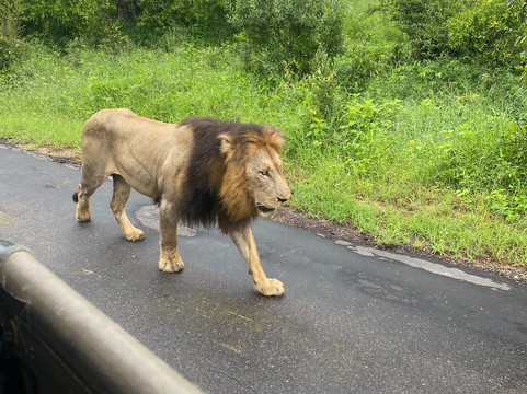 Wild Planet Safari-霍德斯普鲁特必去景点