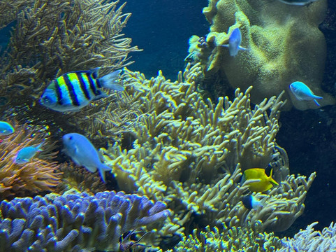 Tropikariet-赫尔辛堡必去景点