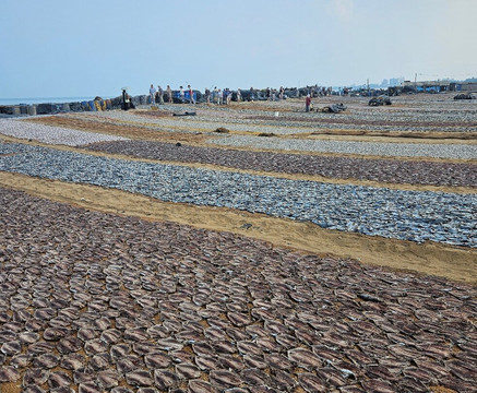Enviro Bicycle Tours-尼甘布必去景点