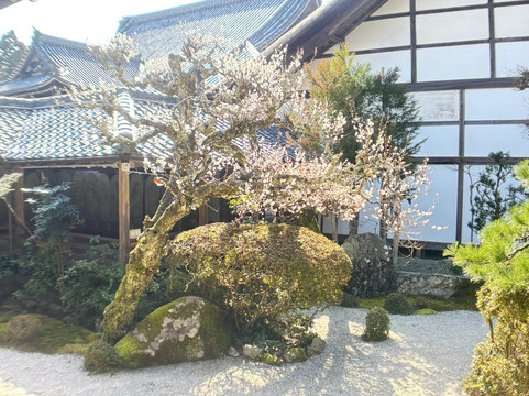 Saikyoji Temple-大津市必去景点