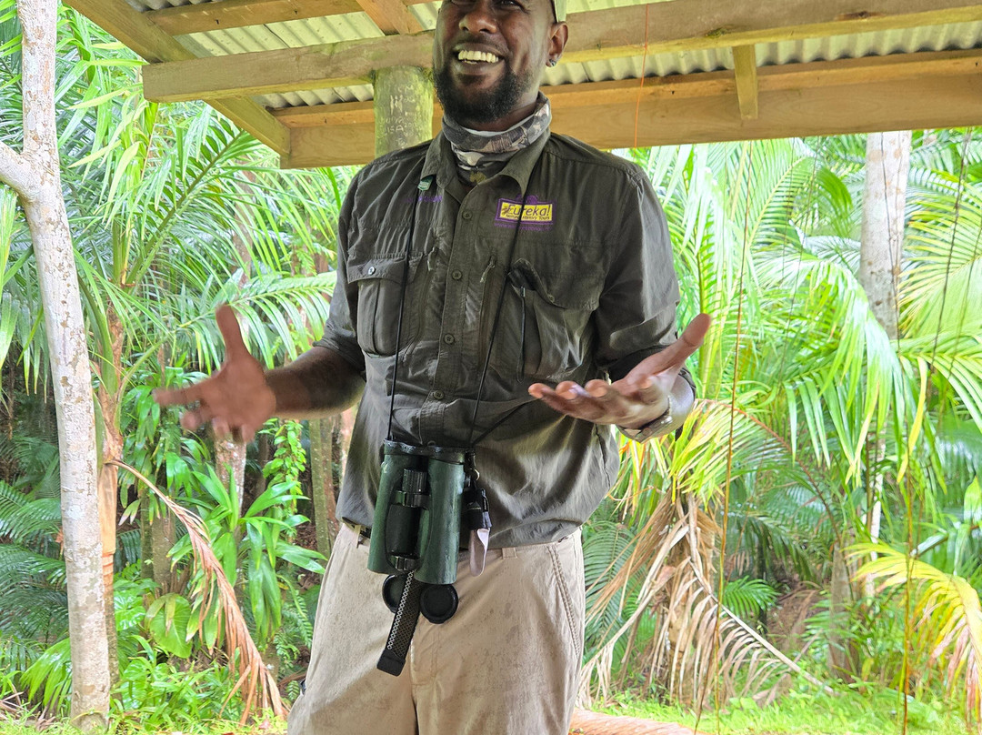 Eureka Natural History Tours-斯卡伯勒必去景点