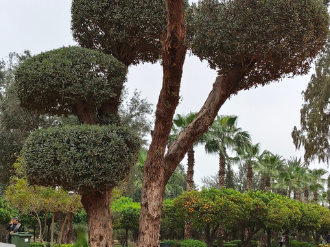 Sunshine Morocco Tours-马拉喀什必去景点