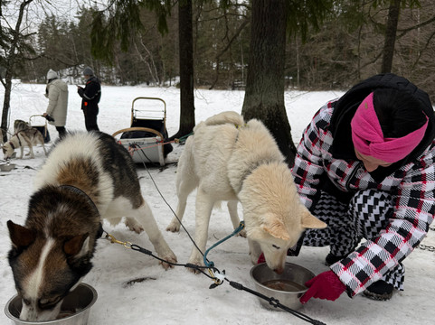 Arctic Expedition-埃斯波必去景点