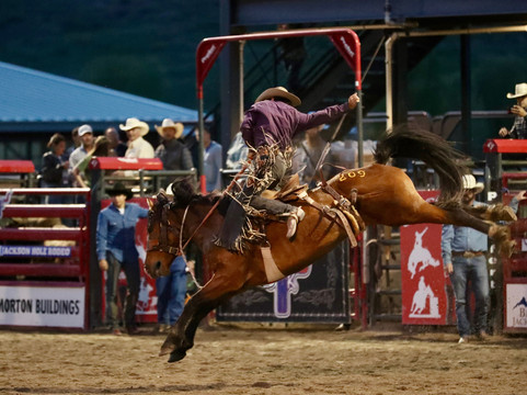 Jackson Hole Rodeo-杰克逊必去景点