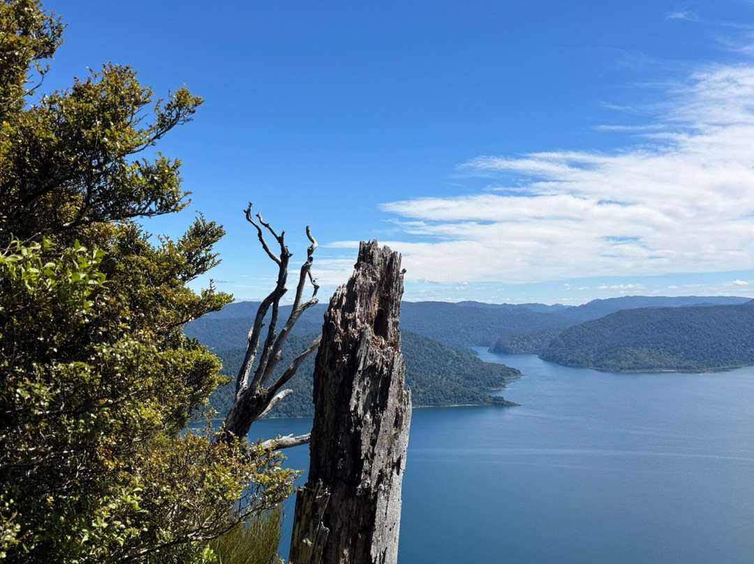 Lake Waikaremoana Great Walk-Wairoa必去景点