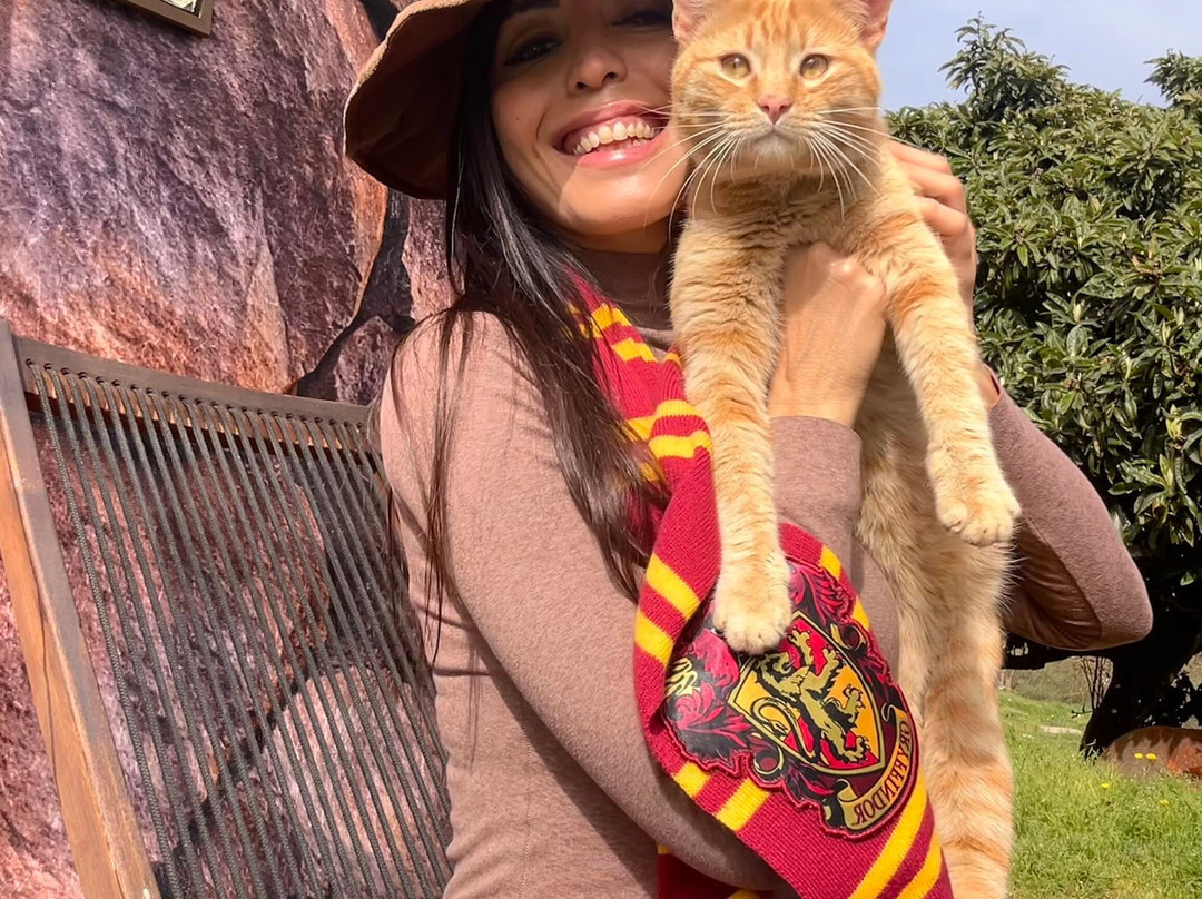 Glamping il Sole主图