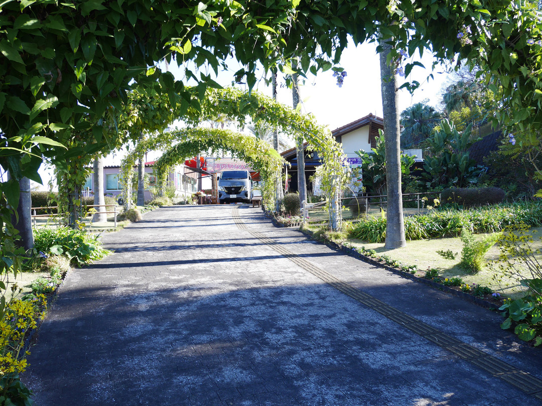 Michi-no-Eki Nango-日南市必去景点