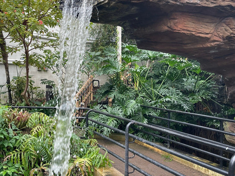 Foellinger-Freimann Botanical Conservatory-韦恩堡必去景点