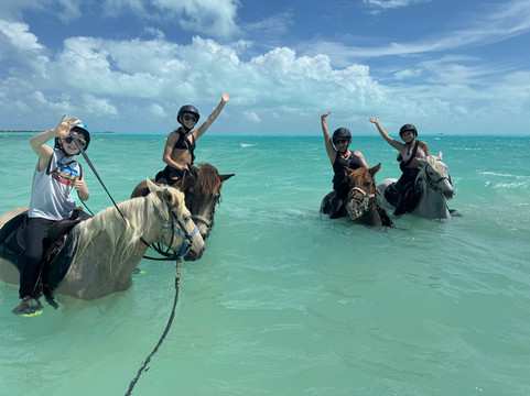 Provo Ponies-Long Bay Hills必去景点