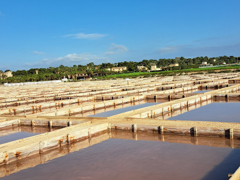 Salinas d'Es Trenc-Campos必去景点