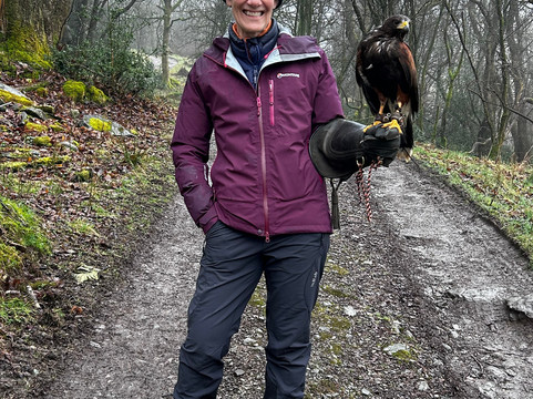 Lake District Falconry-温德米尔必去景点