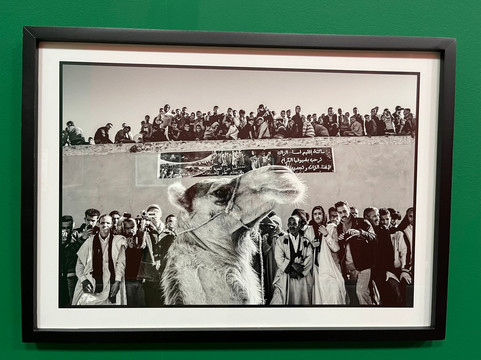 穆罕默德六世现当代艺术博物馆-拉巴特必去景点