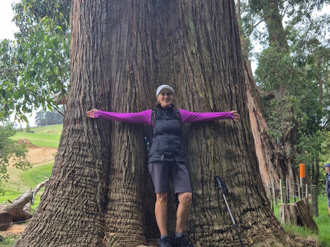 Blackburn Ridge-Waipawa必去景点