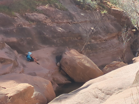 Lower Pine Creek Waterfall-斯普林代尔必去景点
