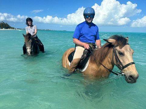 Provo Ponies-Long Bay Hills必去景点