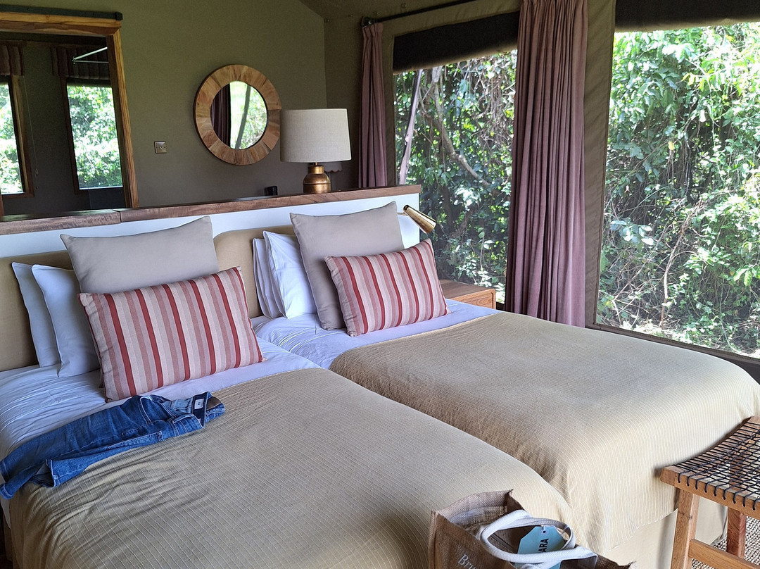 Face 2 Face Safaris-查佛必去景点