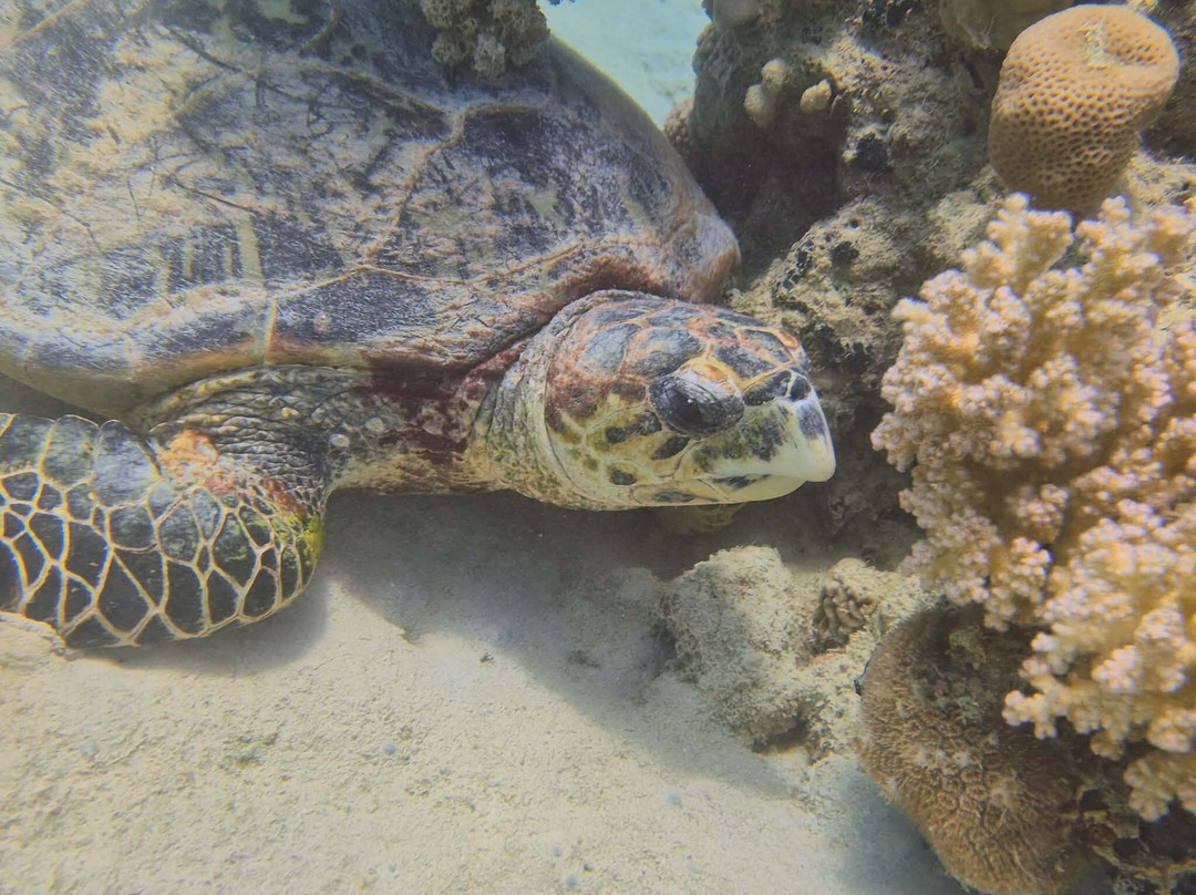 Aquarius Diving Club-马卡迪湾必去景点