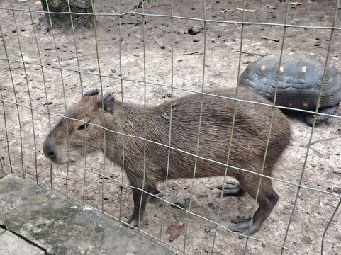 Aquario Natural-博尼图必去景点