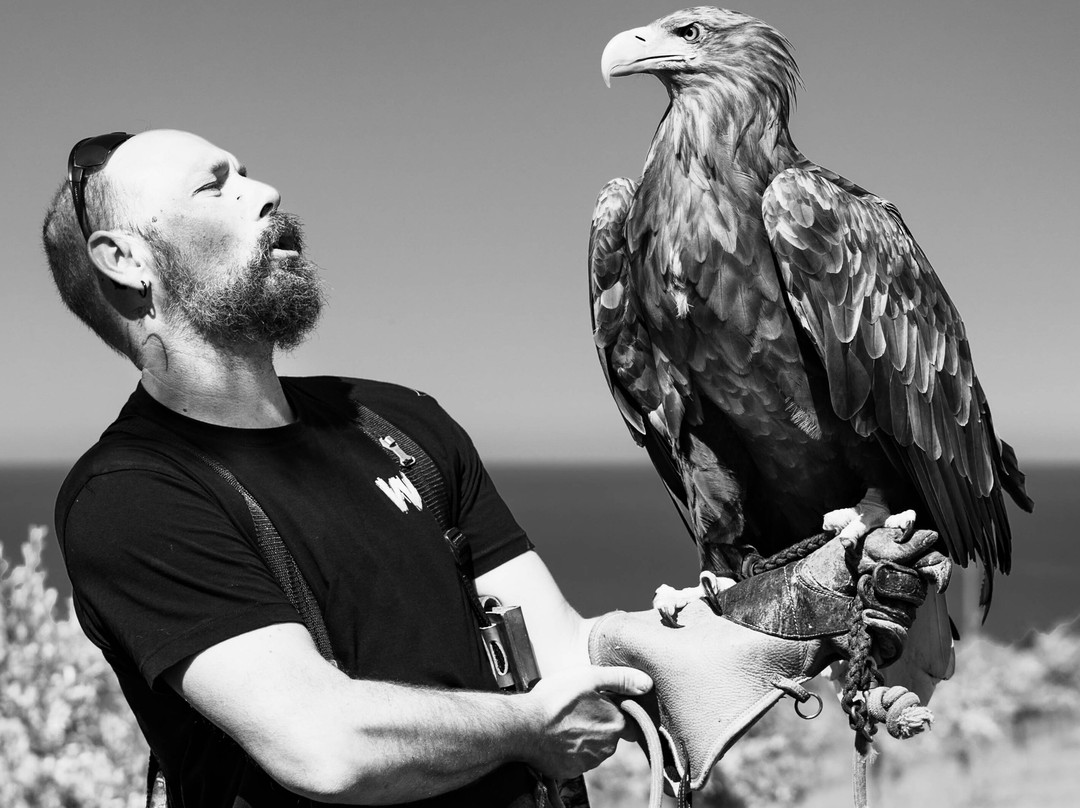 Wild World-Porto Potenza Picena必去景点