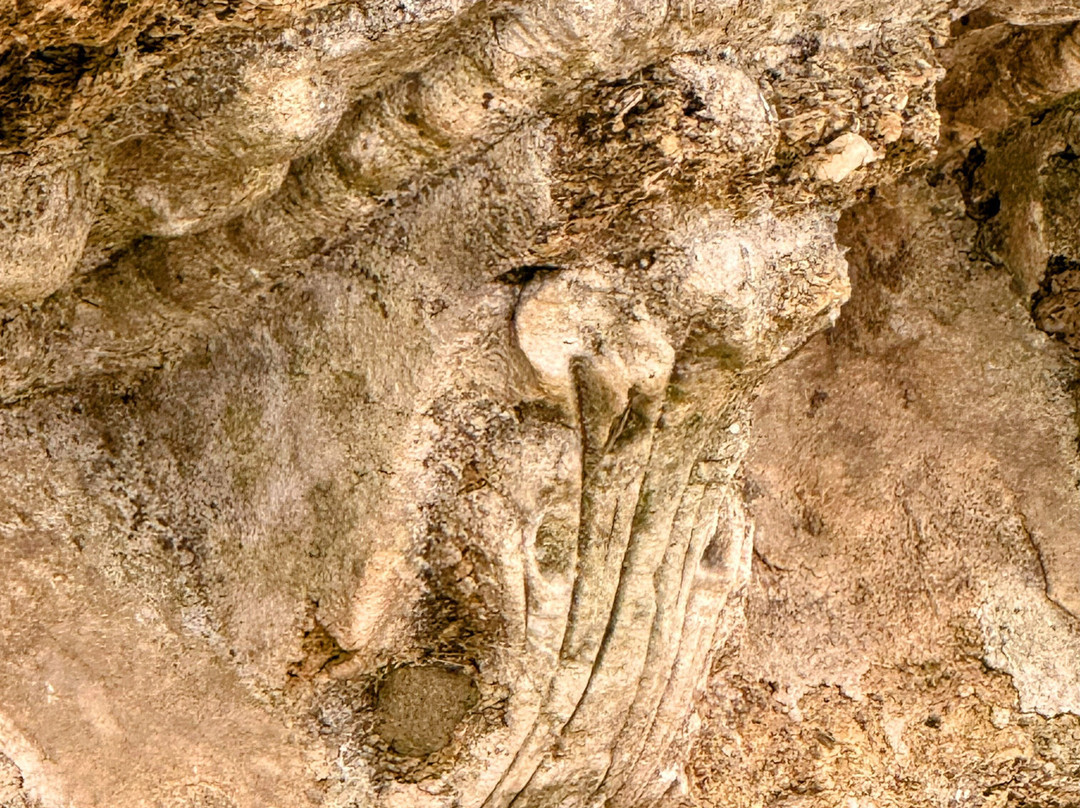 Enclave Arqueologico de Carteia-San Roque必去景点