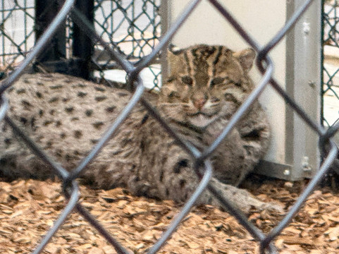 Panther Ridge Conservation Center-Loxahatchee必去景点