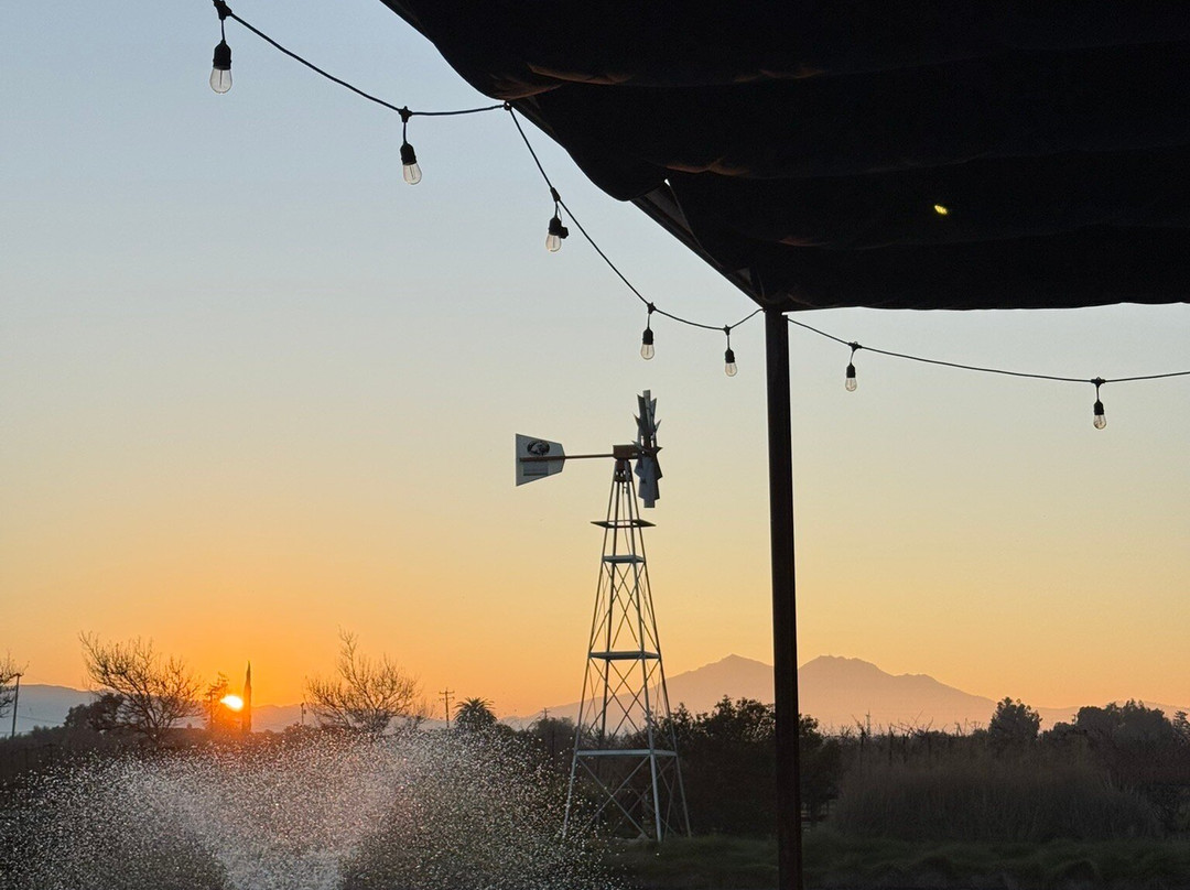 Serendipity Cellars-Brentwood必去景点