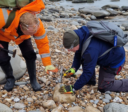 The Wobbly Fossiler-Charmouth必去景点