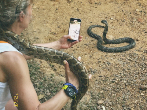 Snake Farm Weligama (Traditional Farm)-瓦勒迦玛必去景点
