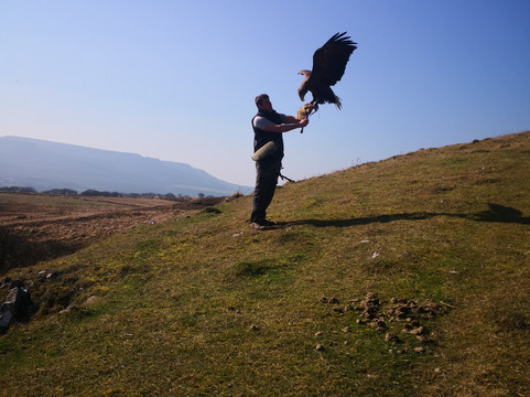 Wings Of Wales-布雷肯比肯斯国家公园必去景点