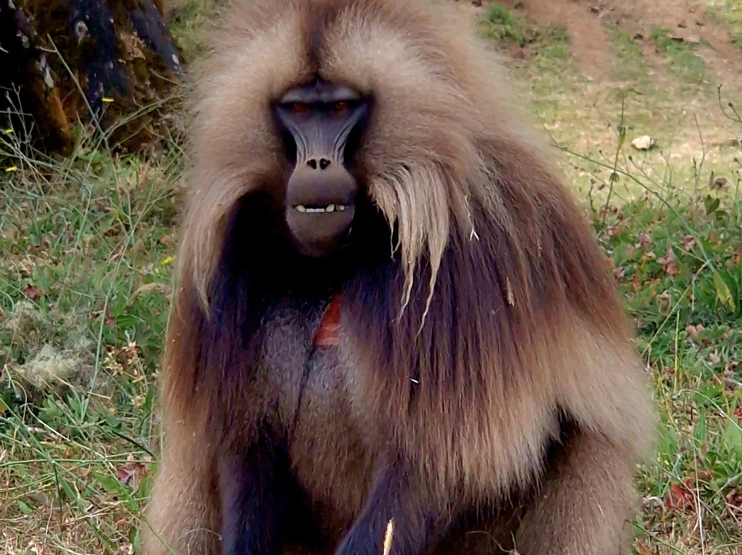 Open Ethiopia Tours-Jinka必去景点