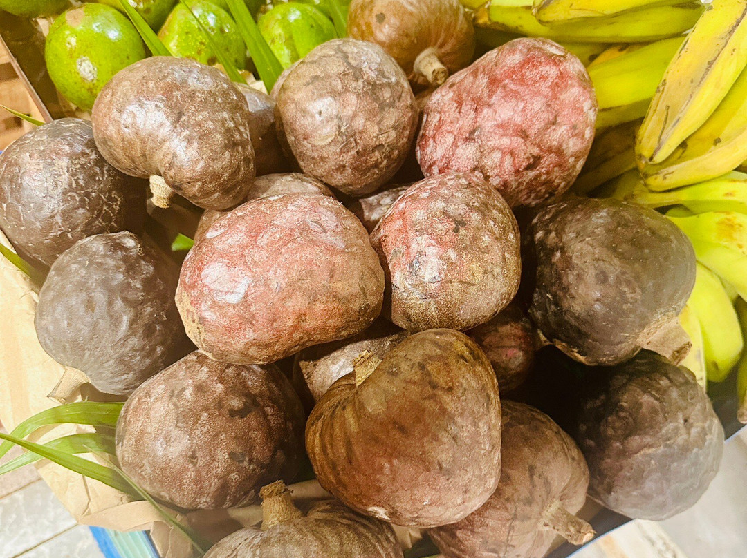 墨卡多23-坎昆必去景点