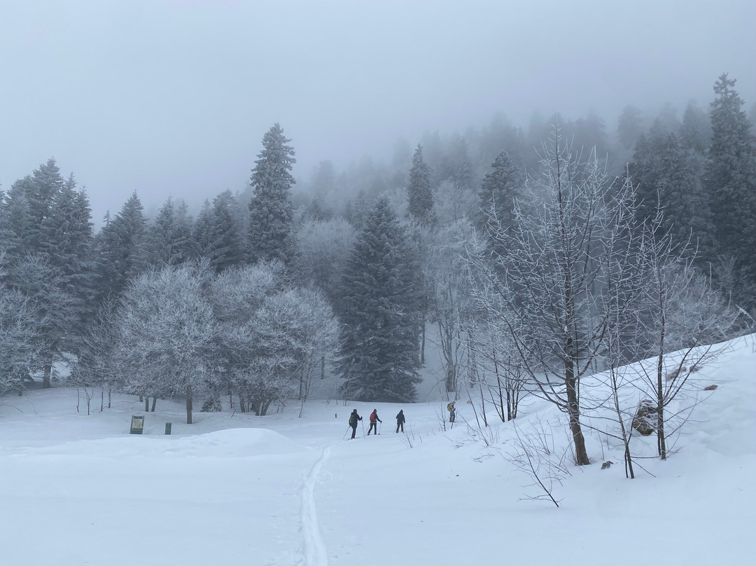 Altitude Biathlon-Autrans-Meaudre-en-Vercors必去景点