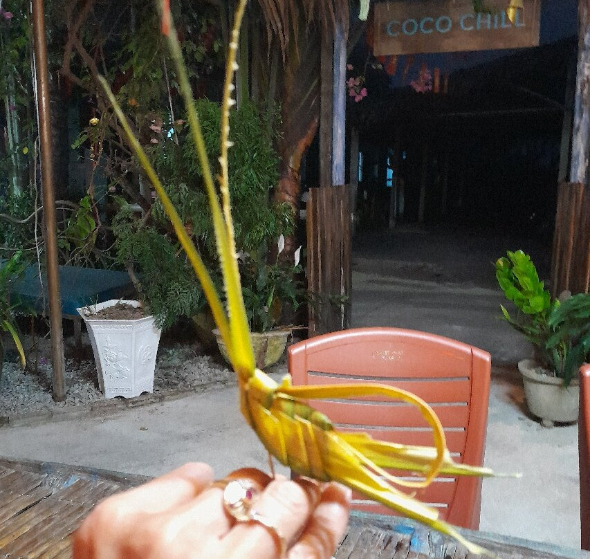 Cocochill Hoi An - Coconut Village & Basket Boat-会安必去景点