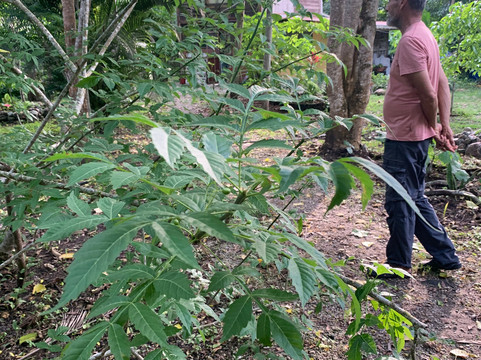 Libélula Finca Agroecológica-Manglaralto必去景点