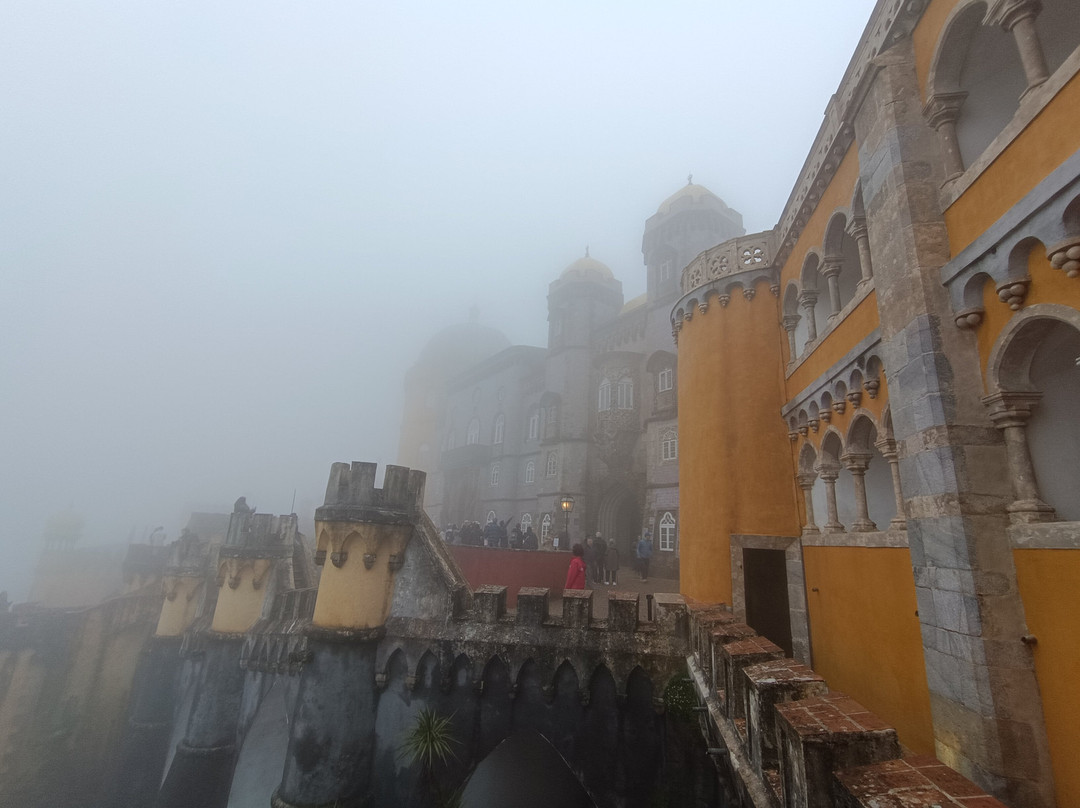 Living Tours Lisbon-里斯本必去景点