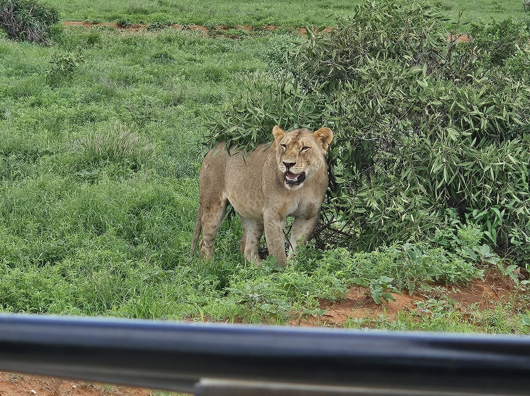 Info Kenya Tours-瓦塔木必去景点