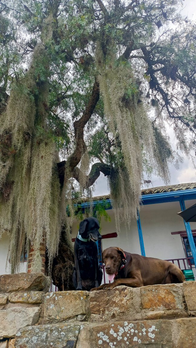 苏昂诺加卡瑟纳酒店-官方
