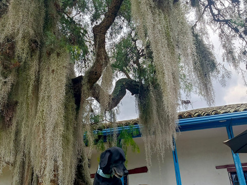 苏昂诺加卡瑟纳酒店主图