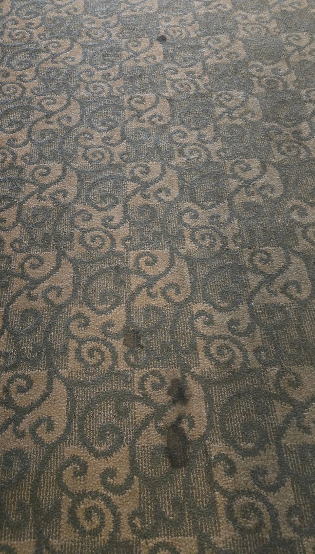 北拉斯维加斯贝斯特韦斯特优质酒店-度假村/酒店